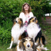 Meer der Seelen - Rider Waite Tarot - Hellsehen und Wahrsagen - Astrologie und Horoskope - Medium und Channeling - sonstige Bereiche