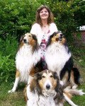 Meer der Seelen - Arbeitlosigkeit - Skatkarten - Psychologische Lebensberatung - Rider Waite Tarot - Astrologie und Horoskope